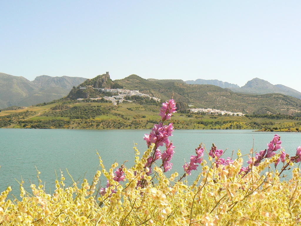 Casa Rural-Apartamento El Lebrillero Zahara De La Sierra Eksteriør billede
